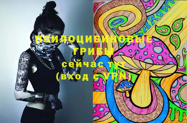 круглые Алексин