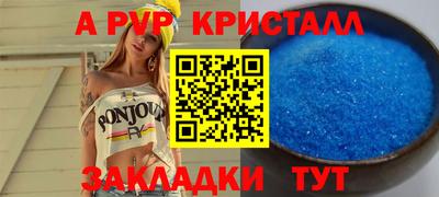 стафф Краснознаменск