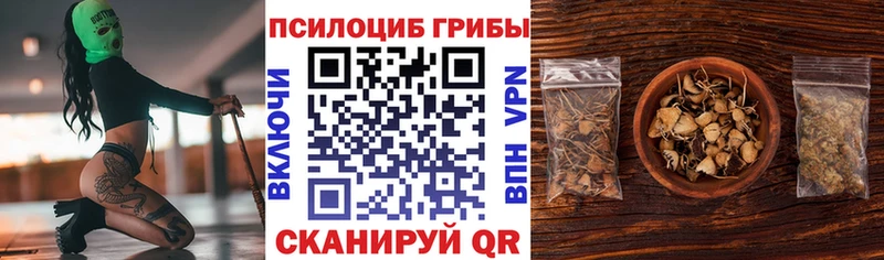 Псилоцибиновые грибы мухоморы  KRAKEN ONION  маркетплейс телеграм  Заводоуковск 
