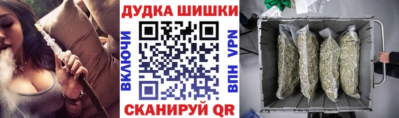 даркнет сайт  Заводоуковск  Марихуана SATIVA & INDICA 