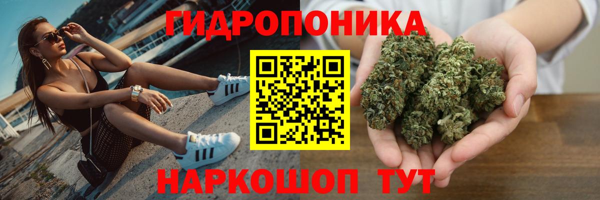 Заводоуковск  Каннабис AK-47  Шишки марихуана LSD WEED  Марихуана план  Каннабис MAZAR  Вход с VPN 
